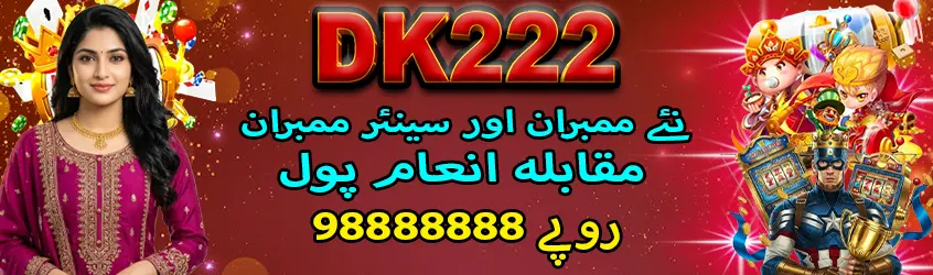 DK222 Game